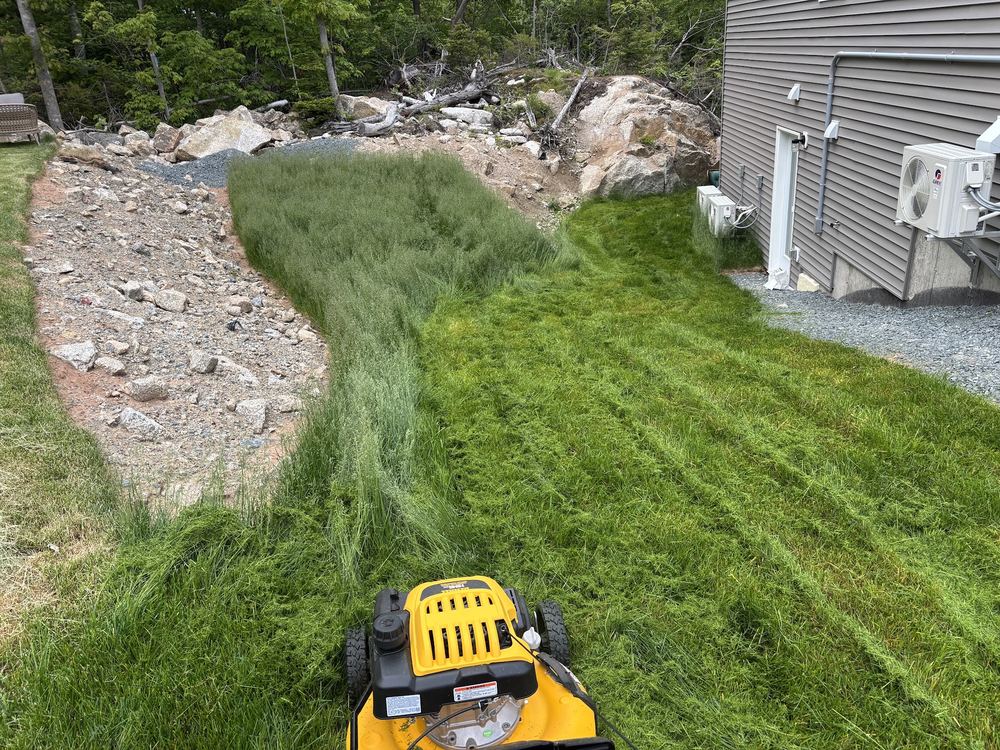 Lawn beside a grey-sided house, freshly cut on one side with a strip of long grass still standing next to a rock bed